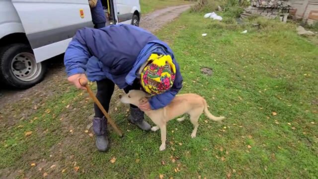 Cane disperso durante i bombardamenti in Ucraina ritrova finalmente la sua proprietaria