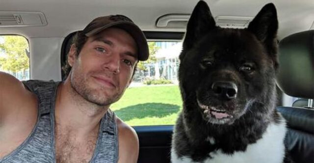 Henry Cavill e il cane che ha salvato la sua salute mentale