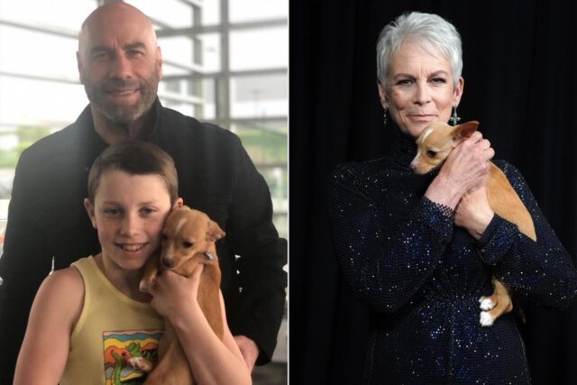 John Travolta adotta un cane per suo figlio: Peanut è apparso in un video degli Oscar per Betty White