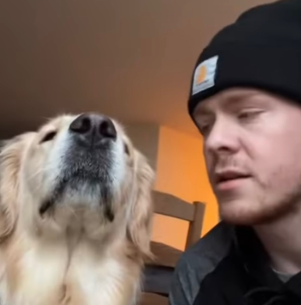Uomo e cagnolino imparano a comunicare