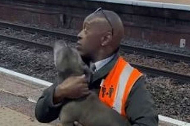 Cane smarrito sui binari, il treno sta per arrivare: uomo gli salva la vita