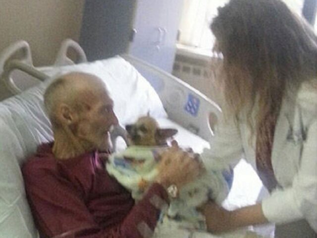 Uomo malato grazie al suo cane riesce ad affrontare meglio la malattia