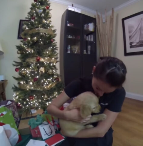 Una donna trova il regalo più dolce sotto l’albero: un cucciolo di Golden Retriever