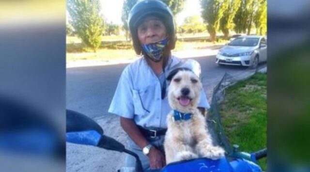 Quest’uomo porta il suo cane a lavoro, sulla moto, pur di non lasciarlo da solo a casa