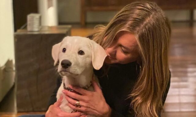 Jennifer Aniston e le adozioni di cani: l’attrice chiede di fare scelte consapevoli