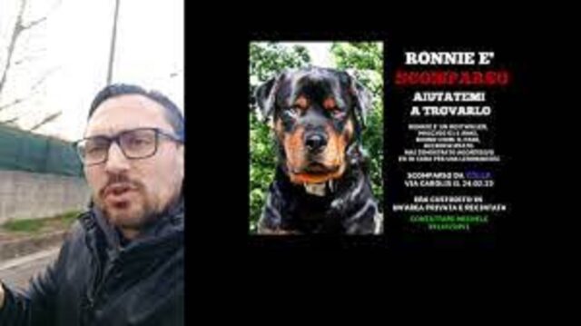 Rottweiler ritrovato dopo quasi un anno grazie al microchip: lo avevano rubato alla sua famiglia