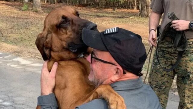 Cane poliziotto e conduttore si abbracciano: il segugio si era perso nel bosco durante un’esercitazione