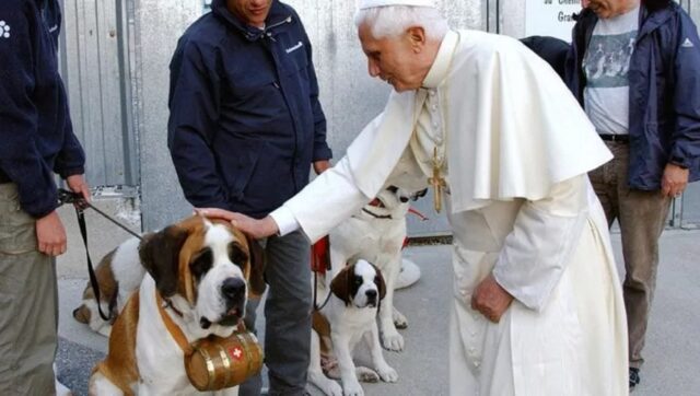 Papa Benedetto XVI e l’amore per tutti gli animali