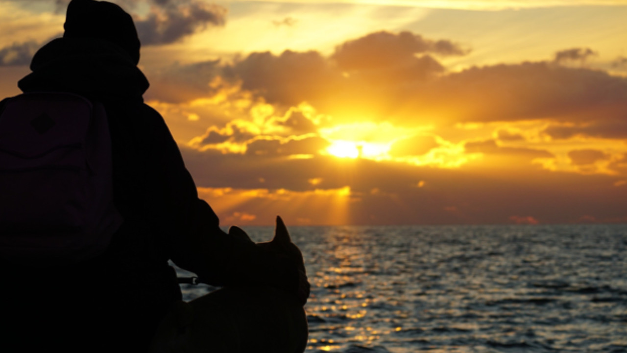 Cane e pastone al tramonto