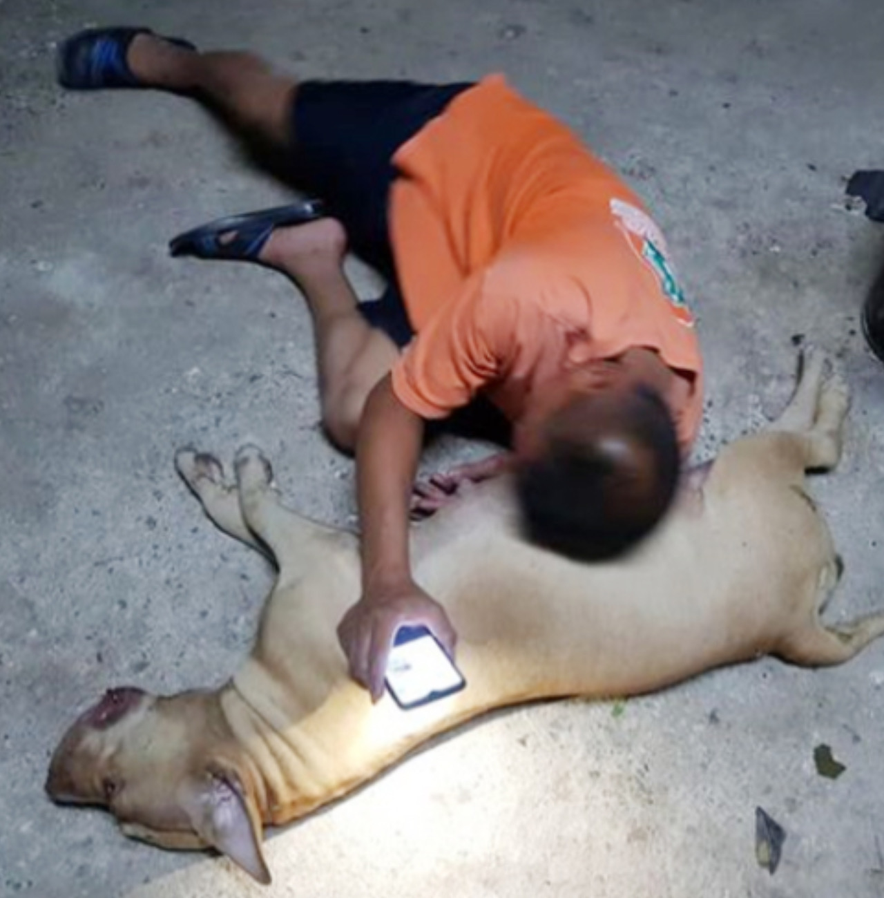 Padrone piange per la cagnolina