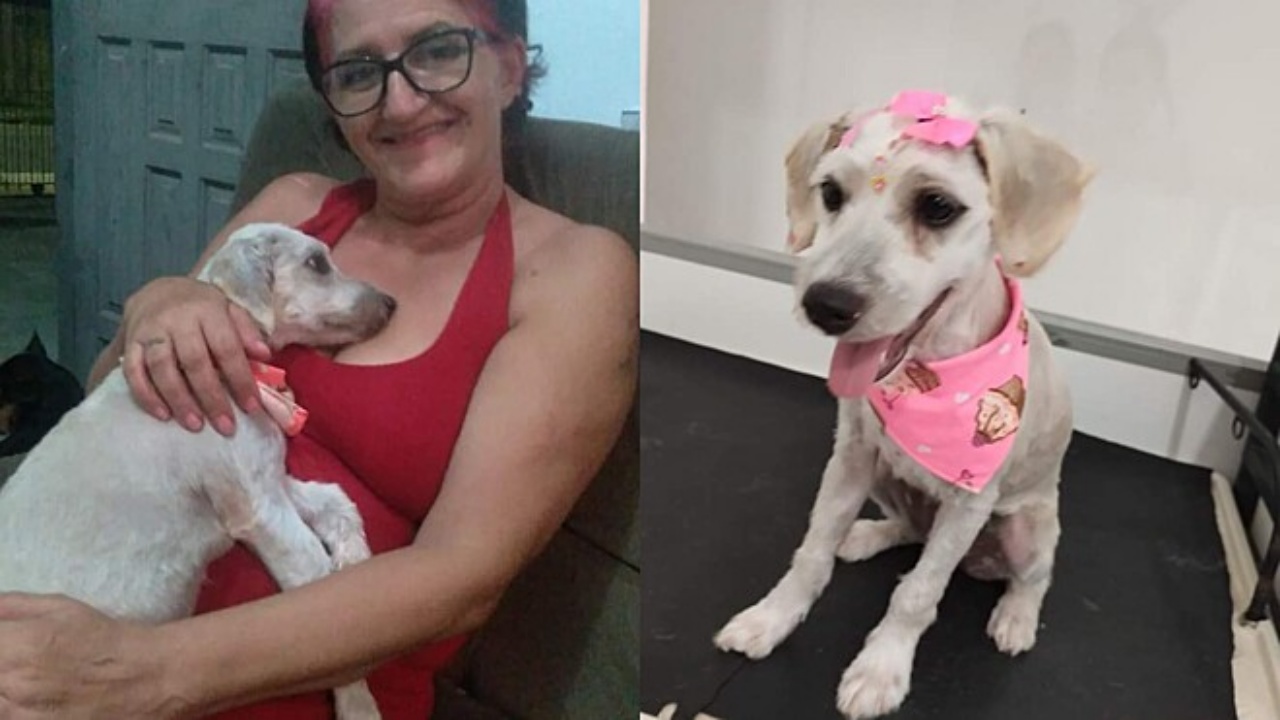 cagnolina e donna