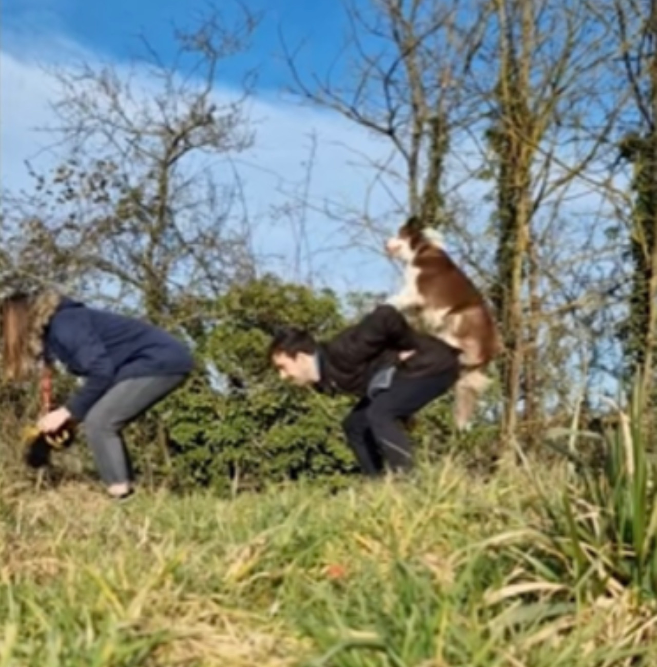 Il cane gioca con i due ragazzi