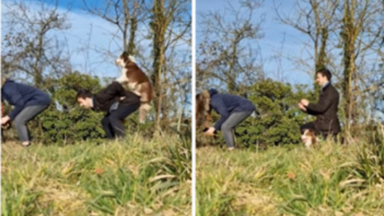 I ragazzi giocano col cane