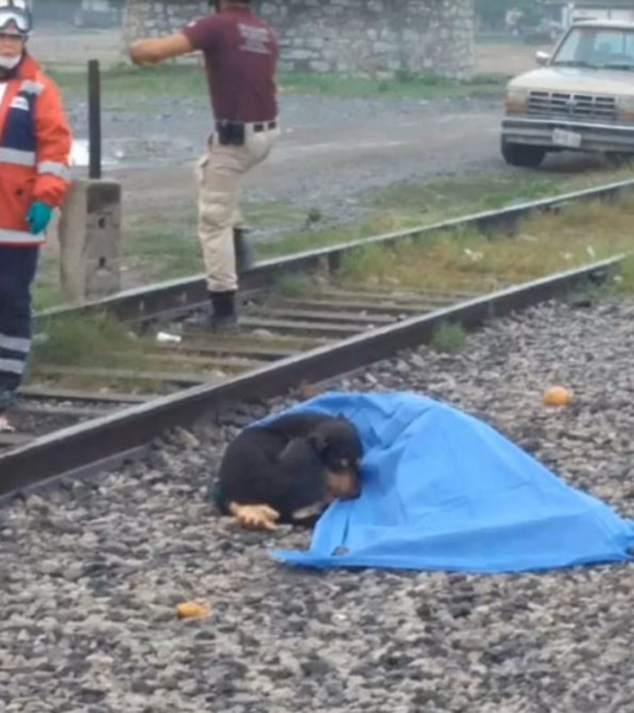 Un cane vicino al suo proprietario defunto