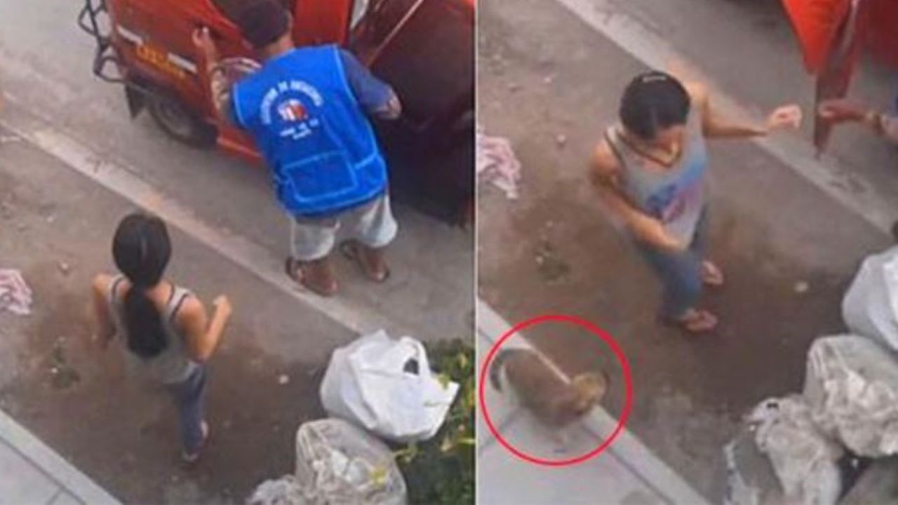 Un cane con una ragazza al mercato