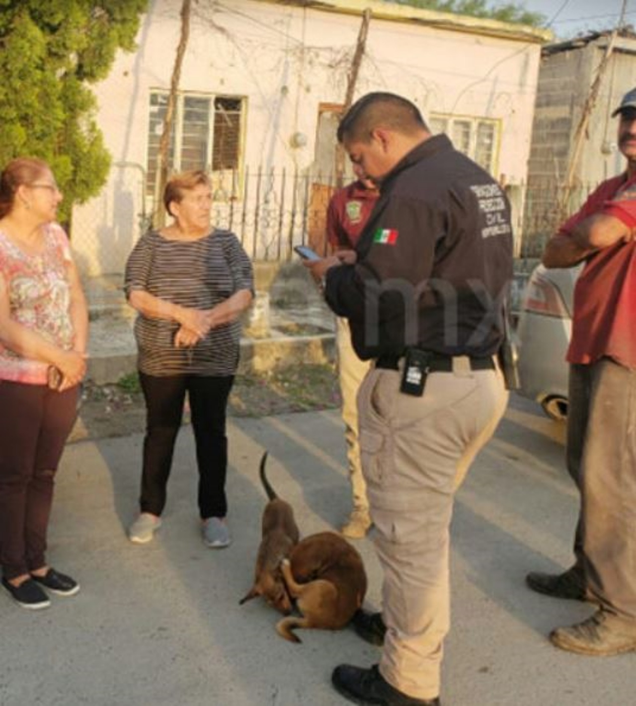 Un cane con delle persone vicino