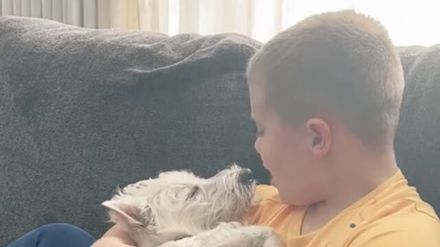 Il momento più dolce: questo bambino culla il suo cane cantandogli una canzone e fa impazzire tutti