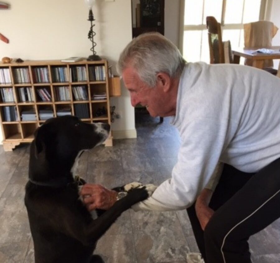 Il Futuro Di Questo Cane Era Incerto Finch Non Ha Trovato Qualcuno Che Ha Saputo Vedere Il