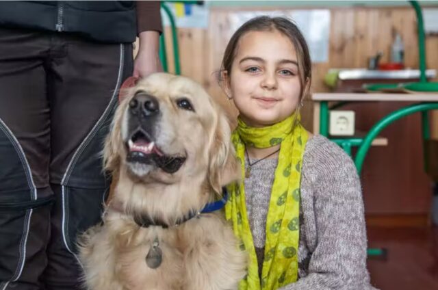 Parker, il Golden Retriever dal cuore d’oro che sta aiutando i bambini ucraini