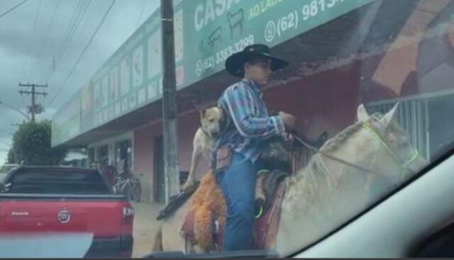 Questo cane sorprende tutti gli abitanti della sua città riuscendo a montare a cavallo