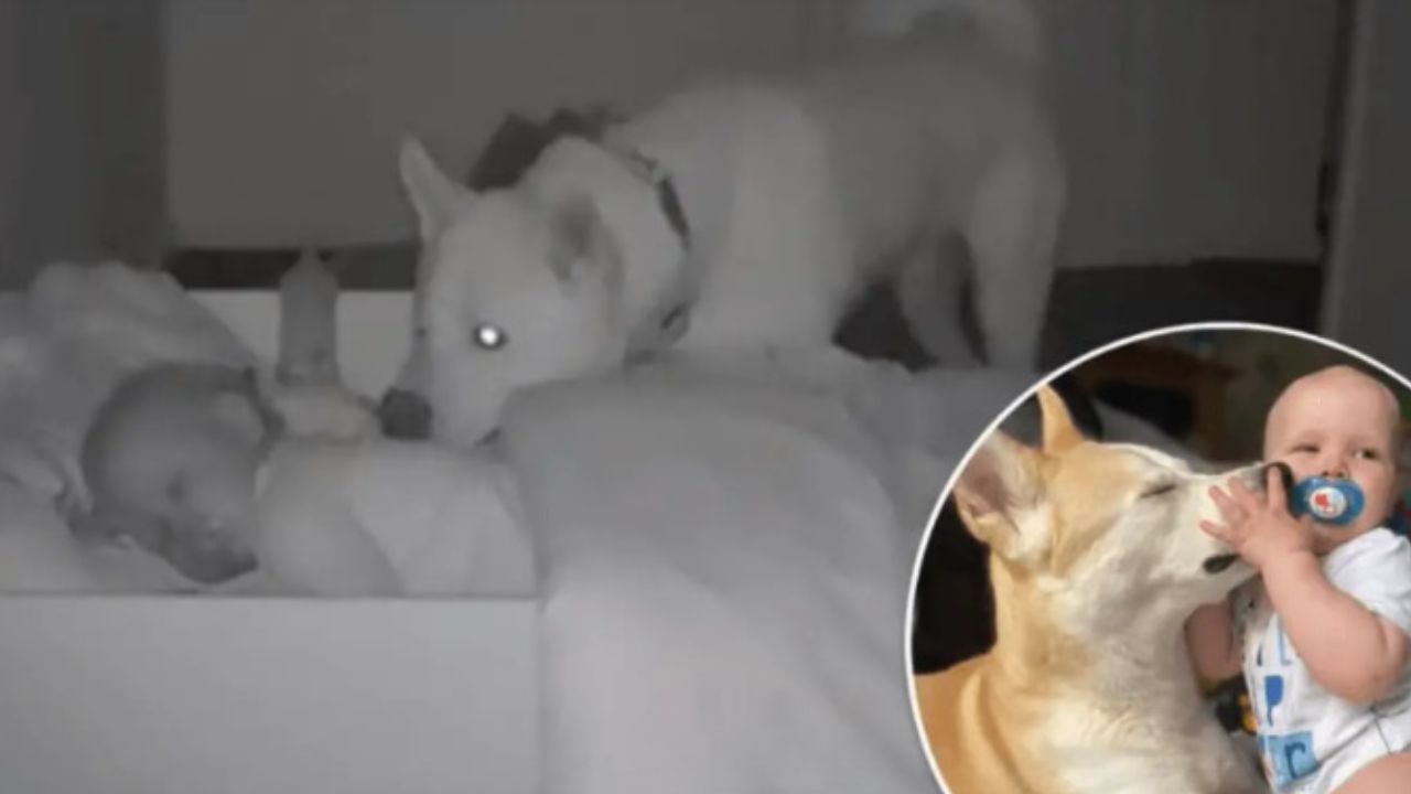 videocamera che riprende un bambino dormiente