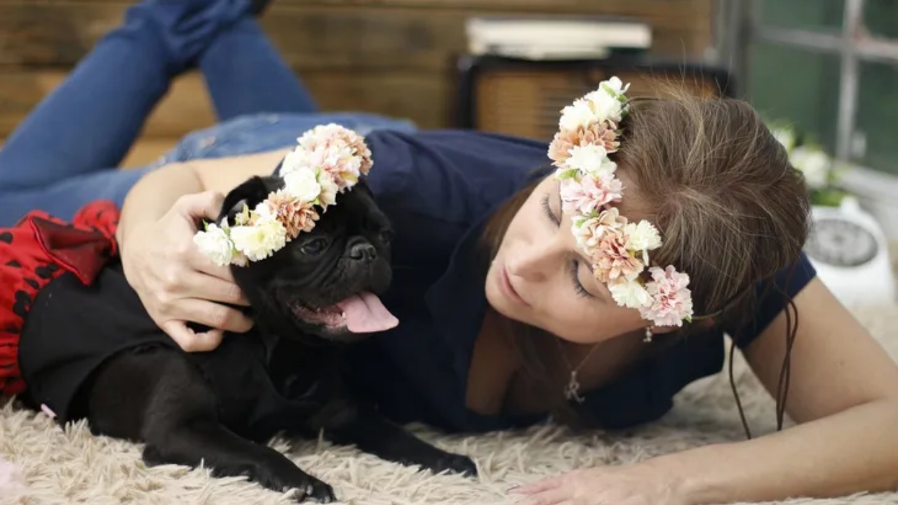 cagnolina e donna