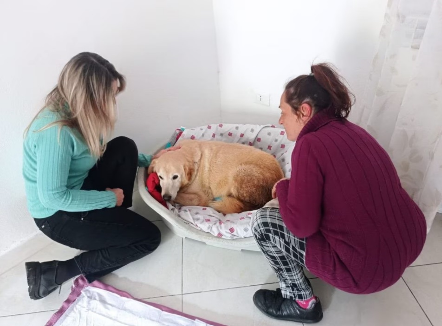 cagnolina e donne