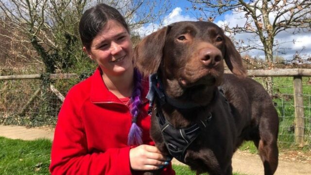 Il padrone l’aveva fatto diventare dipendente dall’alcol: ora questo cane sta finalmente bene