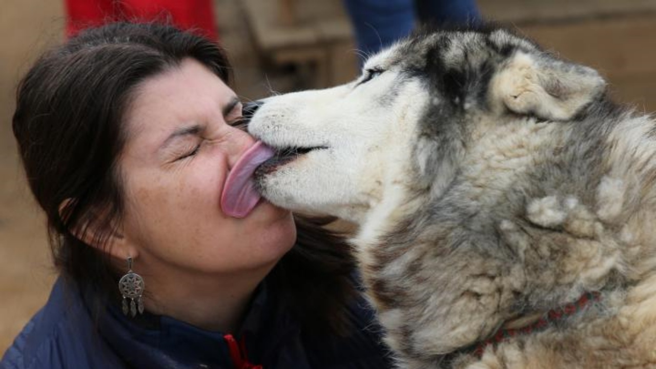 cane e donna