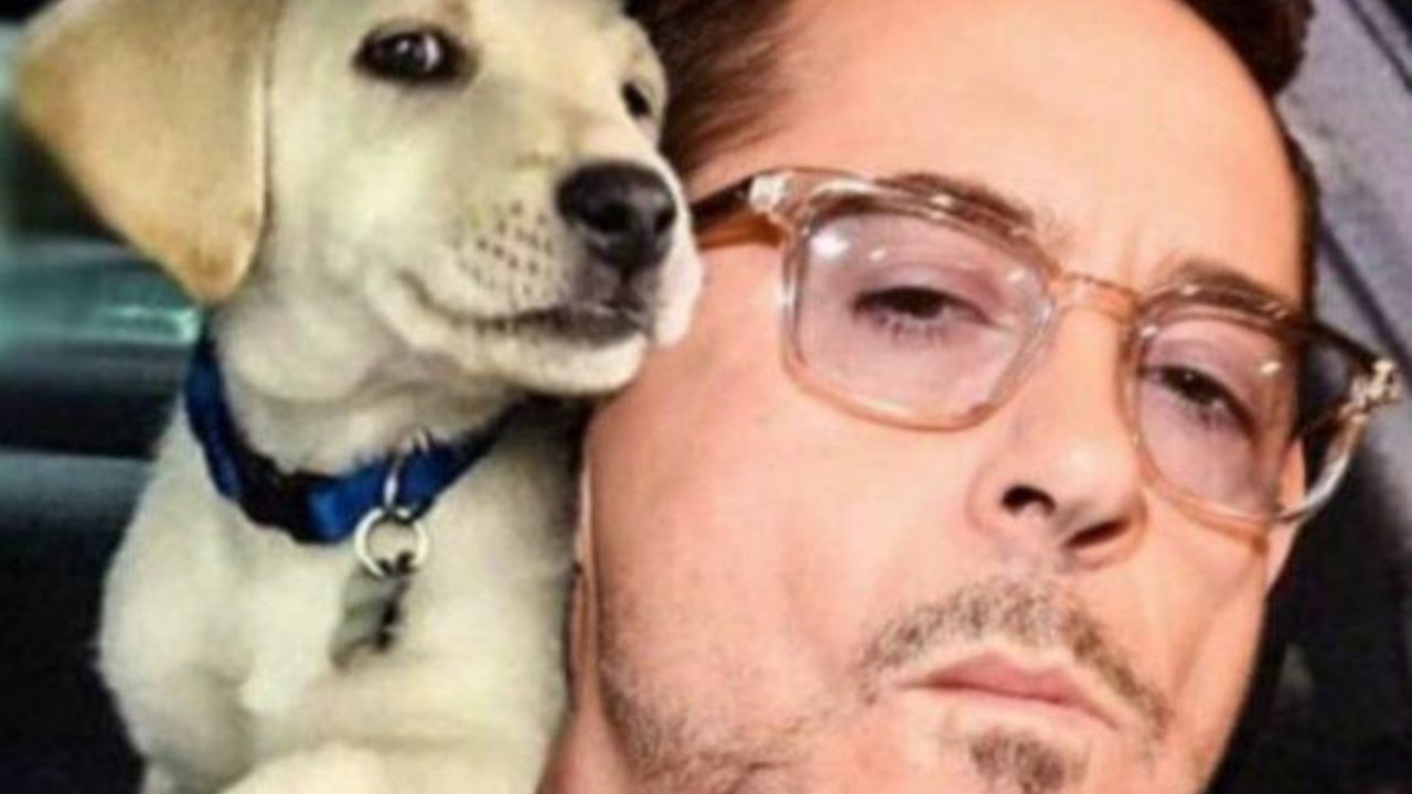 Robert Downey Junior con il suo cagnolino