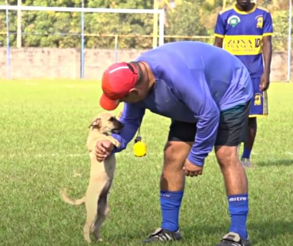 Lui è El Nino, il cane adottato da una squadra che ora è diventato un calciatore