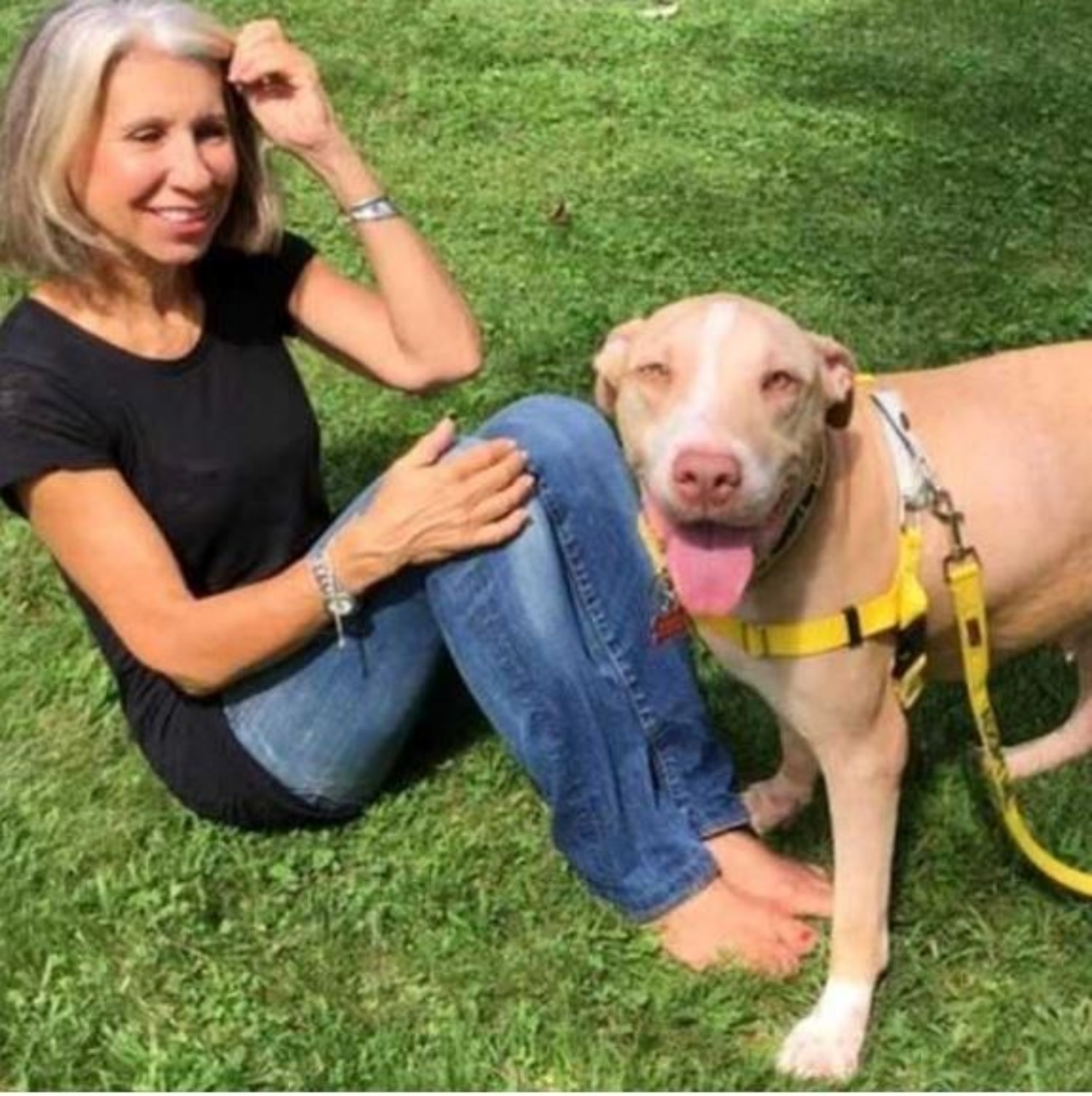 Una cagnolina con una donna