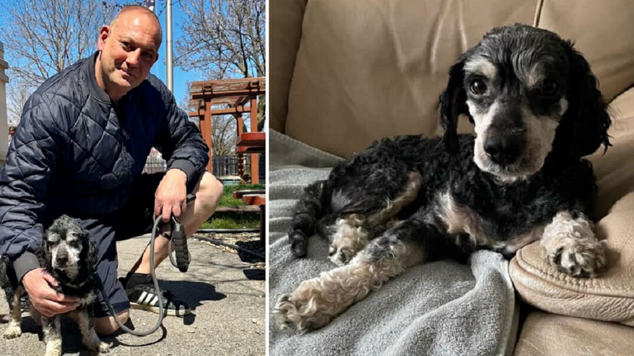 Cane marrone e nero con il proprietario