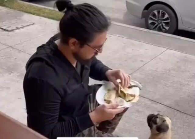 Non lo fanno entrare al ristorante con il suo cane: quello che ha fatto ha suscitato il plauso di tutti i social