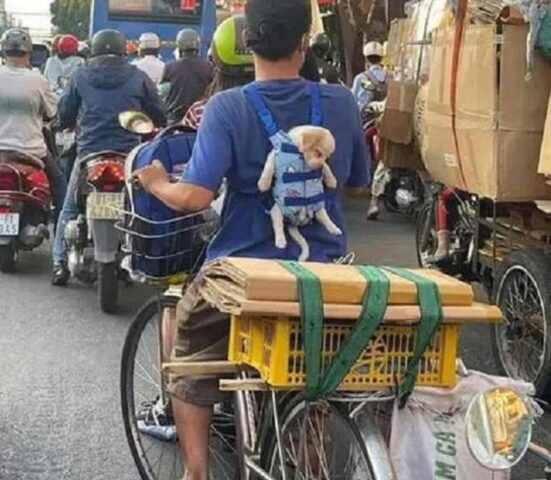 Sì, il modo in cui questo ragazzino porta a spasso il suo cucciolo di cane è da Oscar