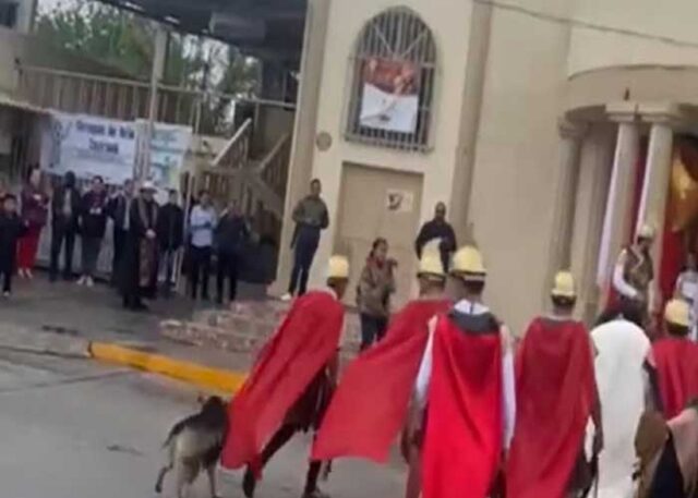 Questo cane ha difeso Gesù durante la via Crucis ed è diventato subito un piccolo eroe