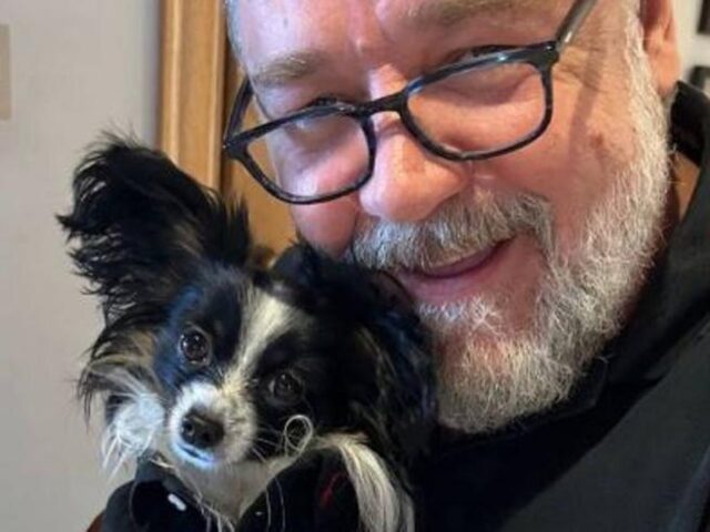 Russell Crowe, cane investito: l’attore piange per la scomparsa del suo amato Louis