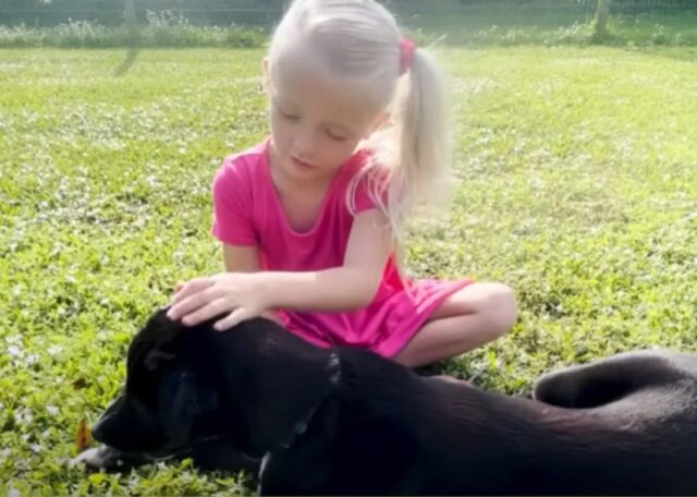 Cucciolo con un occhio solo ritrova la fiducia nelle persone grazie a una bimba