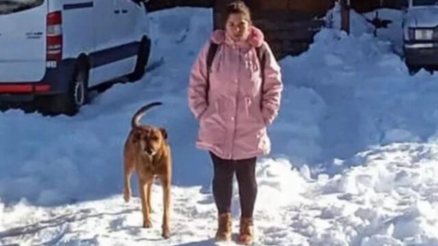 Il cane aspetta ogni giorno al freddo e nella neve la sua proprietaria fuori dall’hotel dove lavora: amore vero