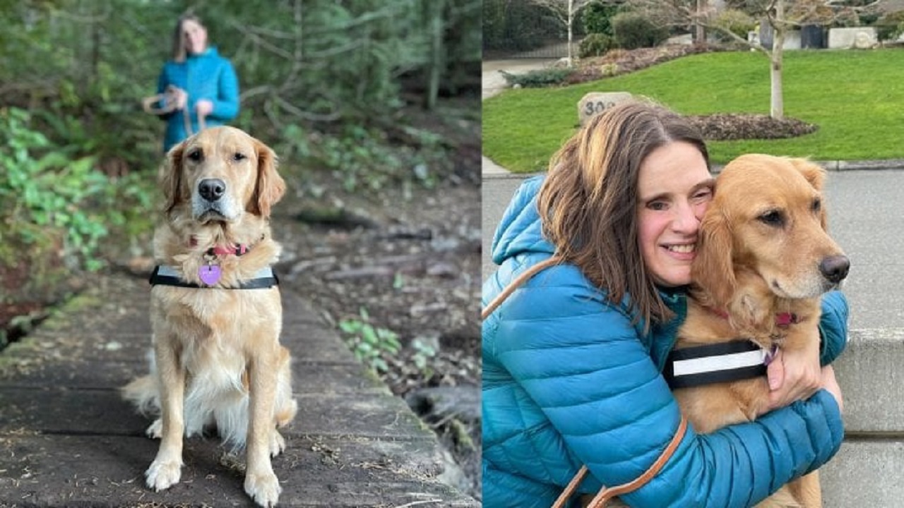 Golden Retriever con la proprietaria