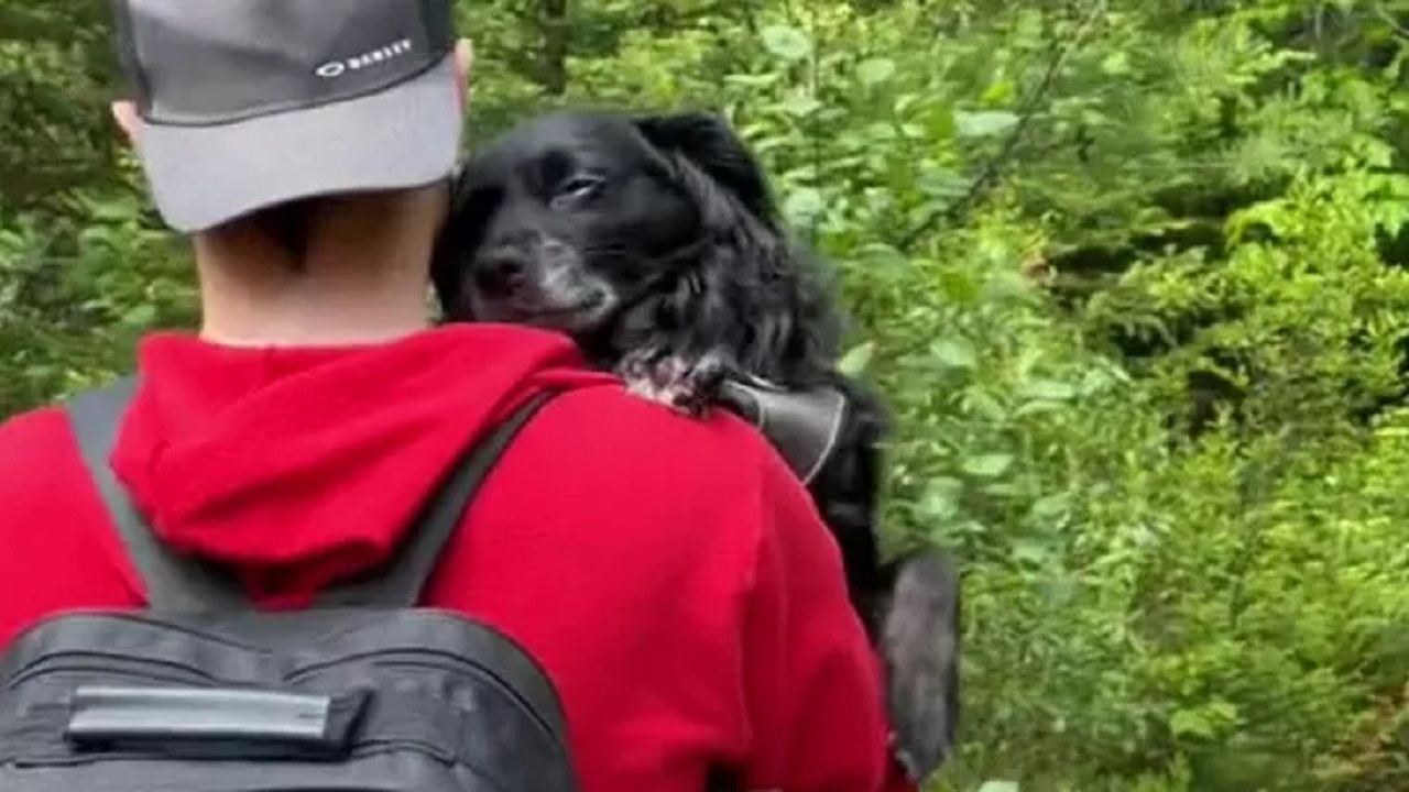 Cane nero in braccio al proprietrio