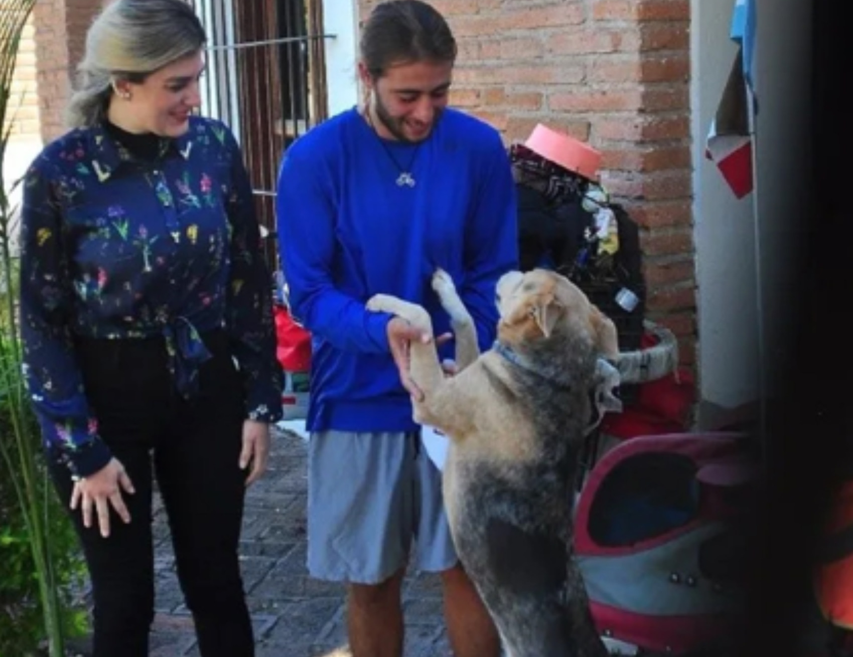 Cane abbraccia l’umano