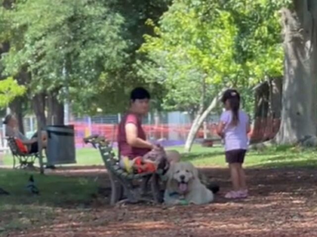 Il cane finge di essere di qualcun altro ogni volta che la sua padrona vuole andare via dal parco