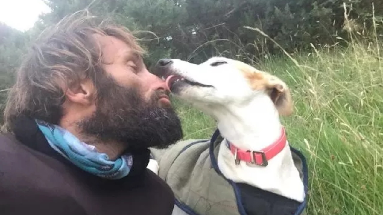 cane e umano