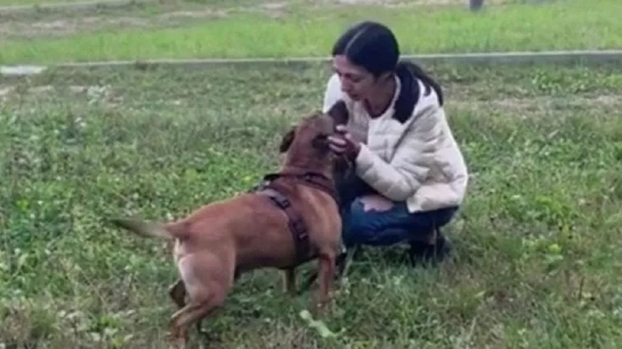 Cane e proprietaria in un prato