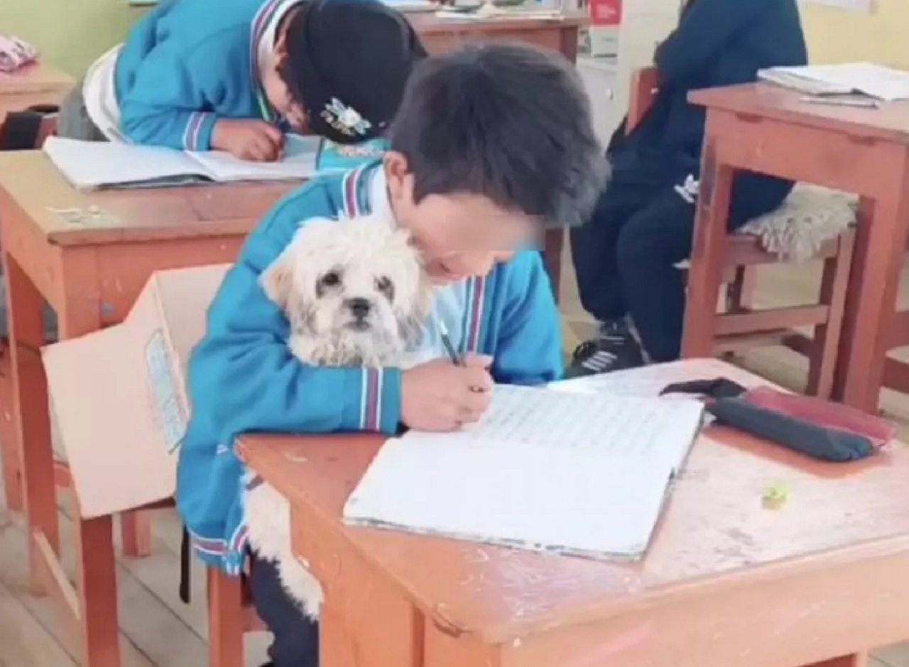 Studente abbraccia il cane