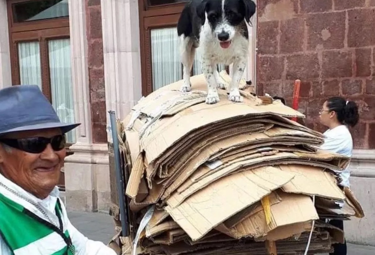 Cane con il proprietario