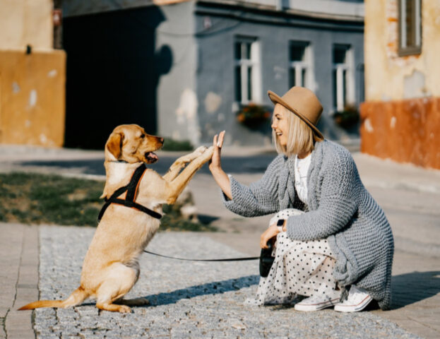 “Costruire ricordi”: l’insolita idea che ti permette di avere una tenerissima foto con il tuo amato cane
