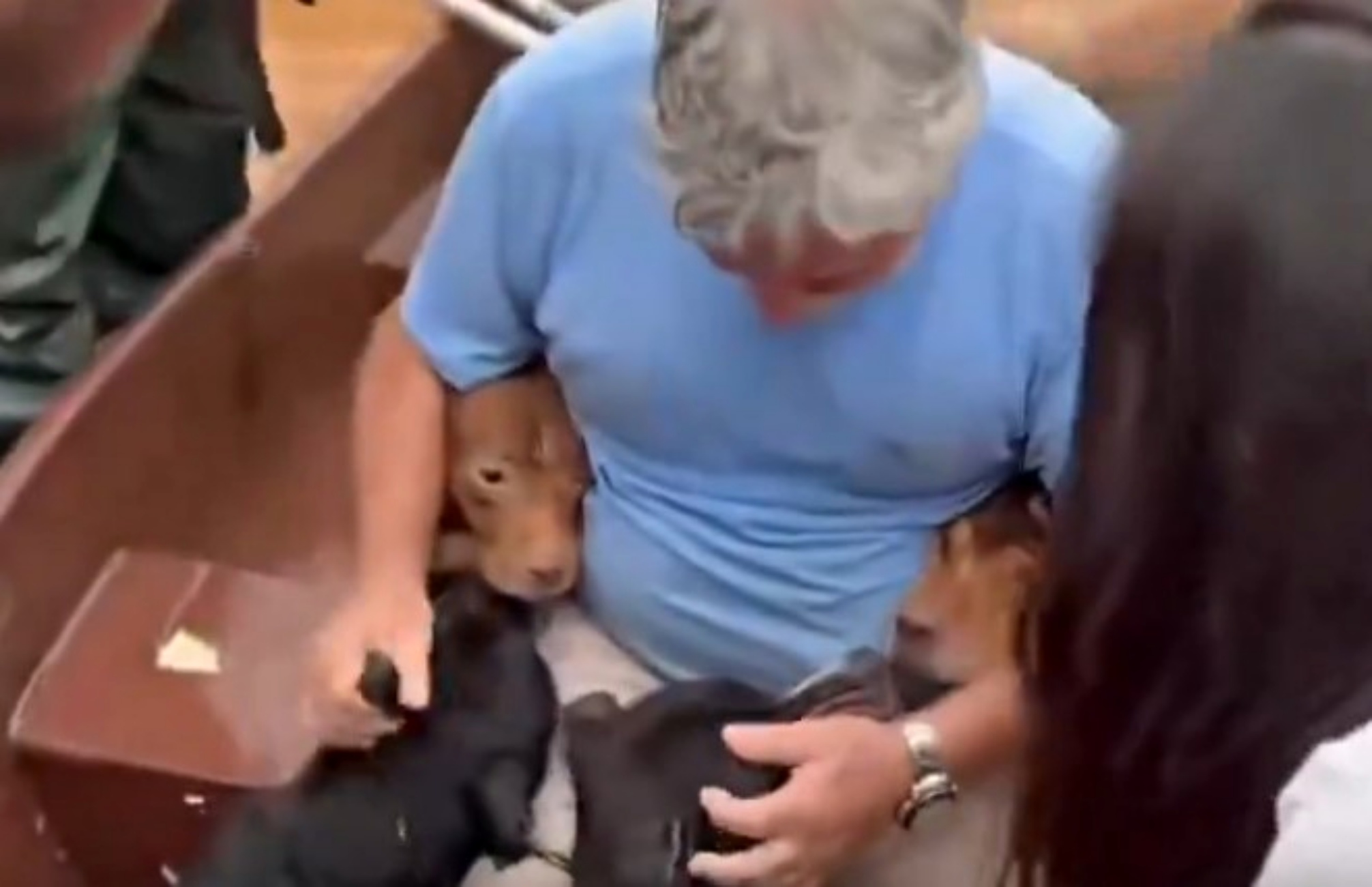 uomo salva cani durante alluvione