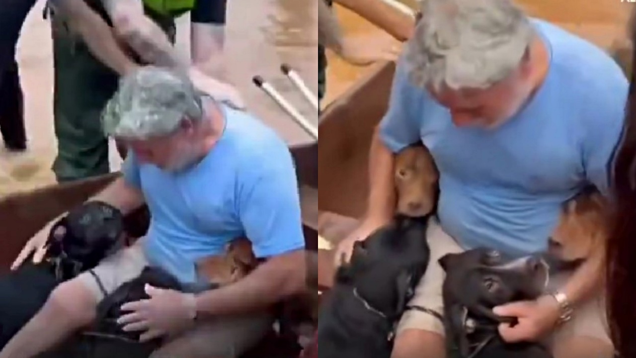 uomo rischia vita per salvare cani durante alluvione